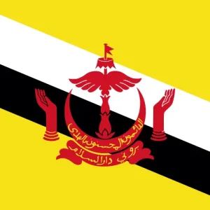 Brunei Darussalam eSIM